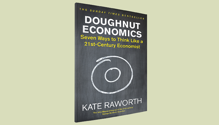 donut economy book